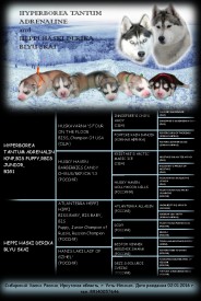 А+А.jpg (489.73 КБ, Просмотров: 1122) А+А.jpg