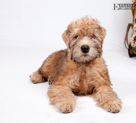 Аксель 14.10.2016г-9.jpg (321.7 КБ, Просмотров: 1239) Аксель 14.10.2016г-9.jpg