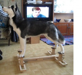 Безымянный.jpg (128.4 КБ, Просмотров: 6480) Безымянный.jpg