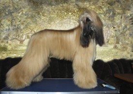 Без имени-1веня.jpg (348.14 КБ, Просмотров: 118336) Без имени-1веня.jpg