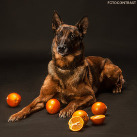 Бэйн - 1.jpg (947.81 КБ, Просмотров: 7155) Бэйн - 1.jpg