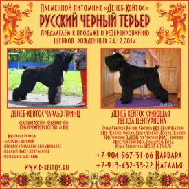 Дана и Чарльз.jpg