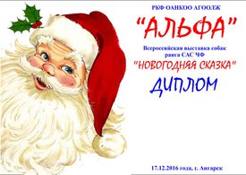 Диплом 17.12.2016.jpg