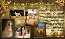 Ларсен реклама.jpg (606.75 КБ, Просмотров: 1659) Ларсен реклама.jpg