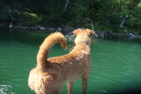 На лодке.JPG
