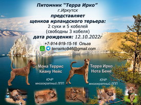 Р-реклама.jpg (381.94 КБ, Просмотров: 12177) Р-реклама.jpg