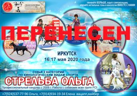 Стельба.jpg