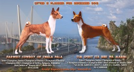 басенджи_исправленный.jpg (914.48 КБ, Просмотров: 1128) басенджи_исправленный.jpg