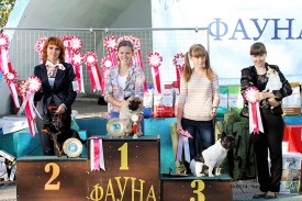 бест групп (Копировать).jpg
