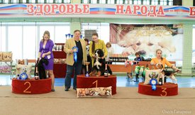 бэбики.jpg (158.72 КБ, Просмотров: 5608) бэбики.jpg