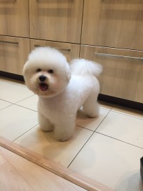 винни.jpg (100.32 КБ, Просмотров: 1342) винни.jpg