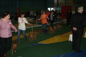 выставка11.JPG