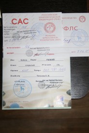 выставка16.JPG