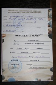 выставка17.JPG