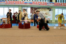 главный бэст.jpg (181 КБ, Просмотров: 5608) главный бэст.jpg