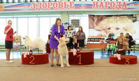 гордость России.jpg (153.44 КБ, Просмотров: 5608) гордость России.jpg
