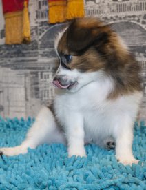 дрюн.jpg (187.96 КБ, Просмотров: 3787) дрюн.jpg