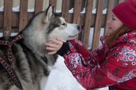 зенит-и-аруба1.jpg (78.78 КБ, Просмотров: 1704) зенит-и-аруба1.jpg