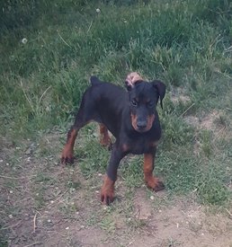 иркутск.jpg (166.29 КБ, Просмотров: 1244) иркутск.jpg