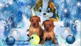 кать - копия.jpg (149.69 КБ, Просмотров: 2827) кать - копия.jpg