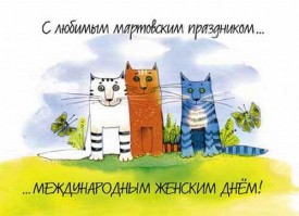 коты-март.jpg