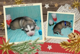 мальчик синий.jpg (671.41 КБ, Просмотров: 1122) мальчик синий.jpg