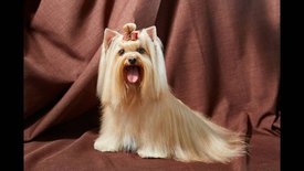 мама 11.jpg (68.91 КБ, Просмотров: 1645) мама 11.jpg