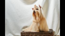 мама 2 2.jpg (57.38 КБ, Просмотров: 1645) мама 2 2.jpg