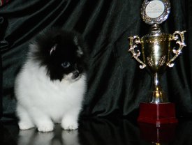 м шторм3.jpg (76.55 КБ, Просмотров: 2264) м шторм3.jpg