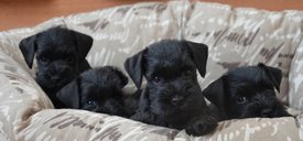 о.jpg (52.15 КБ, Просмотров: 33244) о.jpg