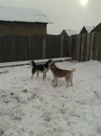 папа и мама.jpg (161.17 КБ, Просмотров: 1520) папа и мама.jpg