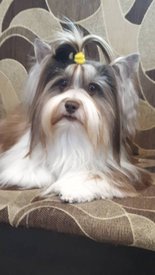 папа 11.jpg (61.53 КБ, Просмотров: 1646) папа 11.jpg