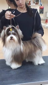 папа 22.jpg (65.44 КБ, Просмотров: 1646) папа 22.jpg