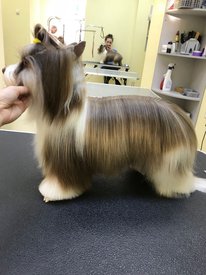 папа 33.jpg (164.97 КБ, Просмотров: 1646) папа 33.jpg