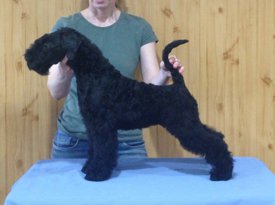 персона.jpg (74.56 КБ, Просмотров: 1593) персона.jpg