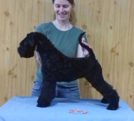 пифа.jpg (72.8 КБ, Просмотров: 1593) пифа.jpg