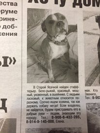 потеряшка.jpeg (332.35 КБ, Просмотров: 1612) потеряшка.jpeg