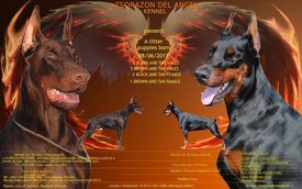 презентация.jpg (84.55 КБ, Просмотров: 2282) презентация.jpg