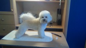 татуся.jpg (97.44 КБ, Просмотров: 1342) татуся.jpg