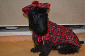 юь.jpg (119.22 КБ, Просмотров: 10855) юь.jpg