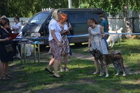 0-02-01-bd995550ac4cb41516267eb8116fd531a4ffef4fab28f910bd8d23284779998d_full.jpg (214.48 КБ, Просмотров: 12770) 0-02-01-bd995550ac4cb41516267eb8116fd531a4ffef4fab28f910bd8d23284779998d_full.jpg