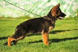 03cb3e97927a.jpg (115.69 КБ, Просмотров: 1561) 03cb3e97927a.jpg