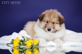 0_cbfe0_b7d91ae2_XXL.jpg (380.45 КБ, Просмотров: 1780) 0_cbfe0_b7d91ae2_XXL.jpg