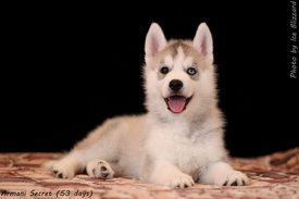 0_e5f67_3e61432e_XL.jpg (74.82 КБ, Просмотров: 10287) 0_e5f67_3e61432e_XL.jpg