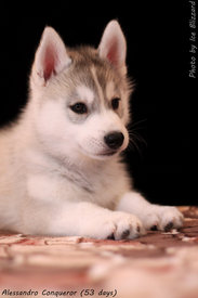 0_e603b_992a3a7_XL.jpg (89.55 КБ, Просмотров: 10287) 0_e603b_992a3a7_XL.jpg