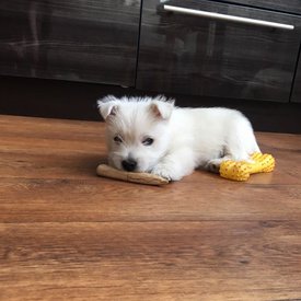 0f4b7ebb-c54e-4a98-9fbf-0acbcae6b1f0.jpg (143.44 КБ, Просмотров: 1447) 0f4b7ebb-c54e-4a98-9fbf-0acbcae6b1f0.jpg