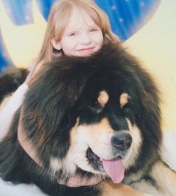 0vr7ydQvWpM.jpg (86.67 КБ, Просмотров: 1849) 0vr7ydQvWpM.jpg