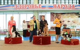 1 группа.jpg (177.54 КБ, Просмотров: 5608) 1 группа.jpg