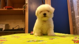 1.jpg (123.6 КБ, Просмотров: 1342) 1.jpg