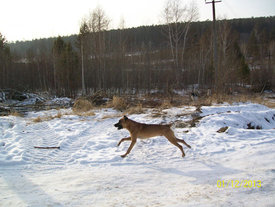 100_4329.JPG